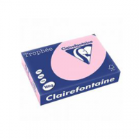 RISMA CLAIREFONTAINE TROPHE A4 G160 FF250 ROSA CANINA