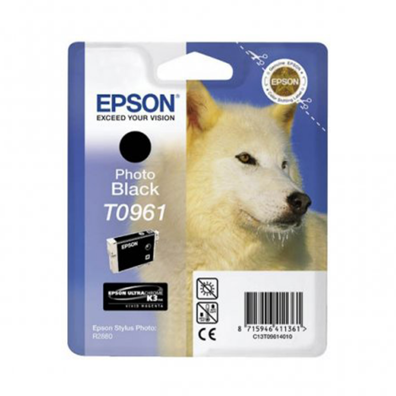 CARTUCCE EPSON R2880 NEROT096140