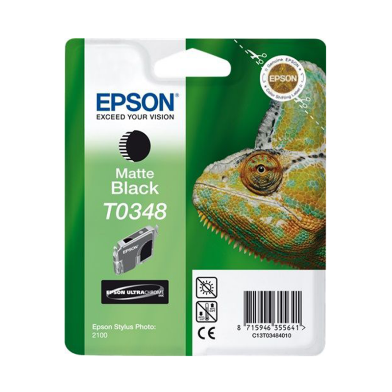 CARTUCCE EPSON STYL. P2100 N T034840 MAT